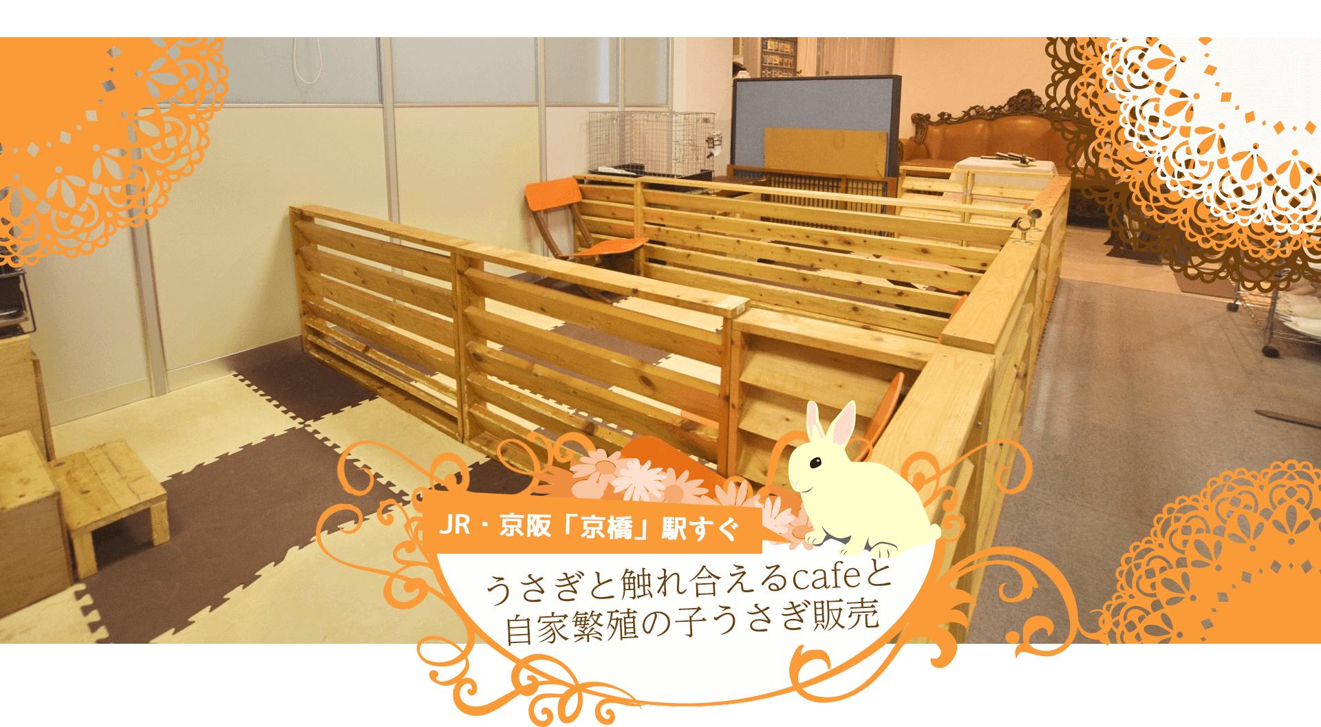 ミミラパン Mimi Lapin 京橋駅のうさぎカフェ うさぎのブリーダー直営店